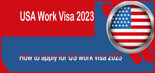 USA Work Visa 2023