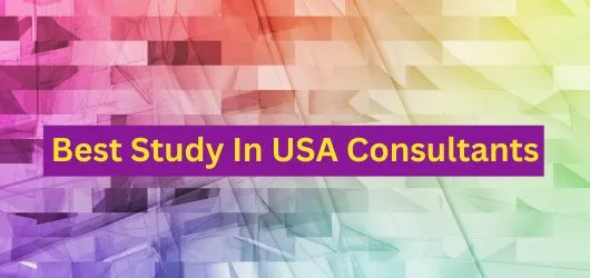 Best Study In USA Consultants 2024