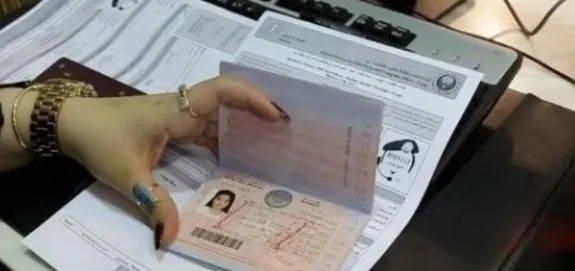 How to Check Visa Status Using Passport Number Best Step